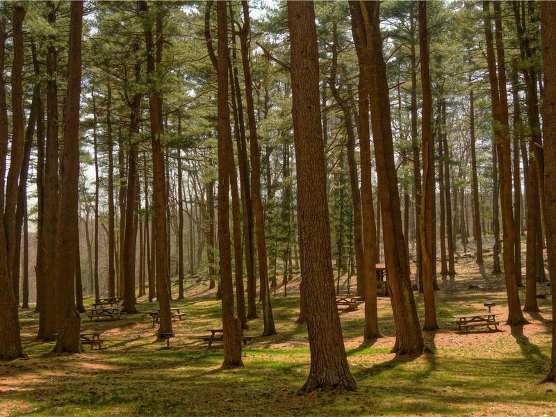 sudoku kenken screenshot 2